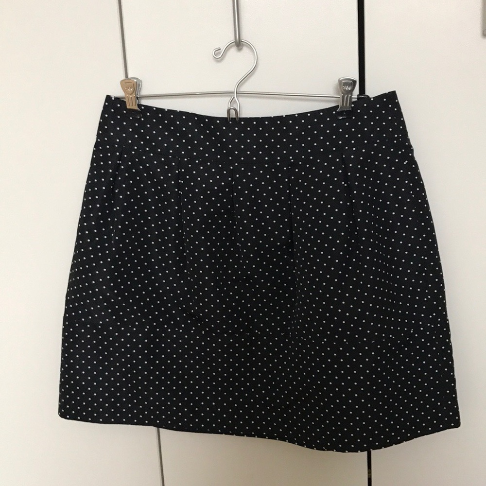 Zara Polka Dot Skirt
